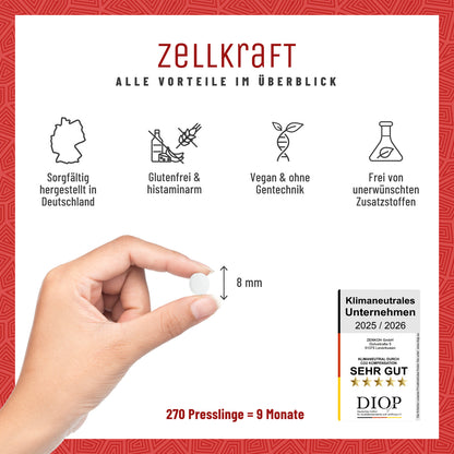 Zellkraft Vitamin B12 Presslinge Alle Vorteile