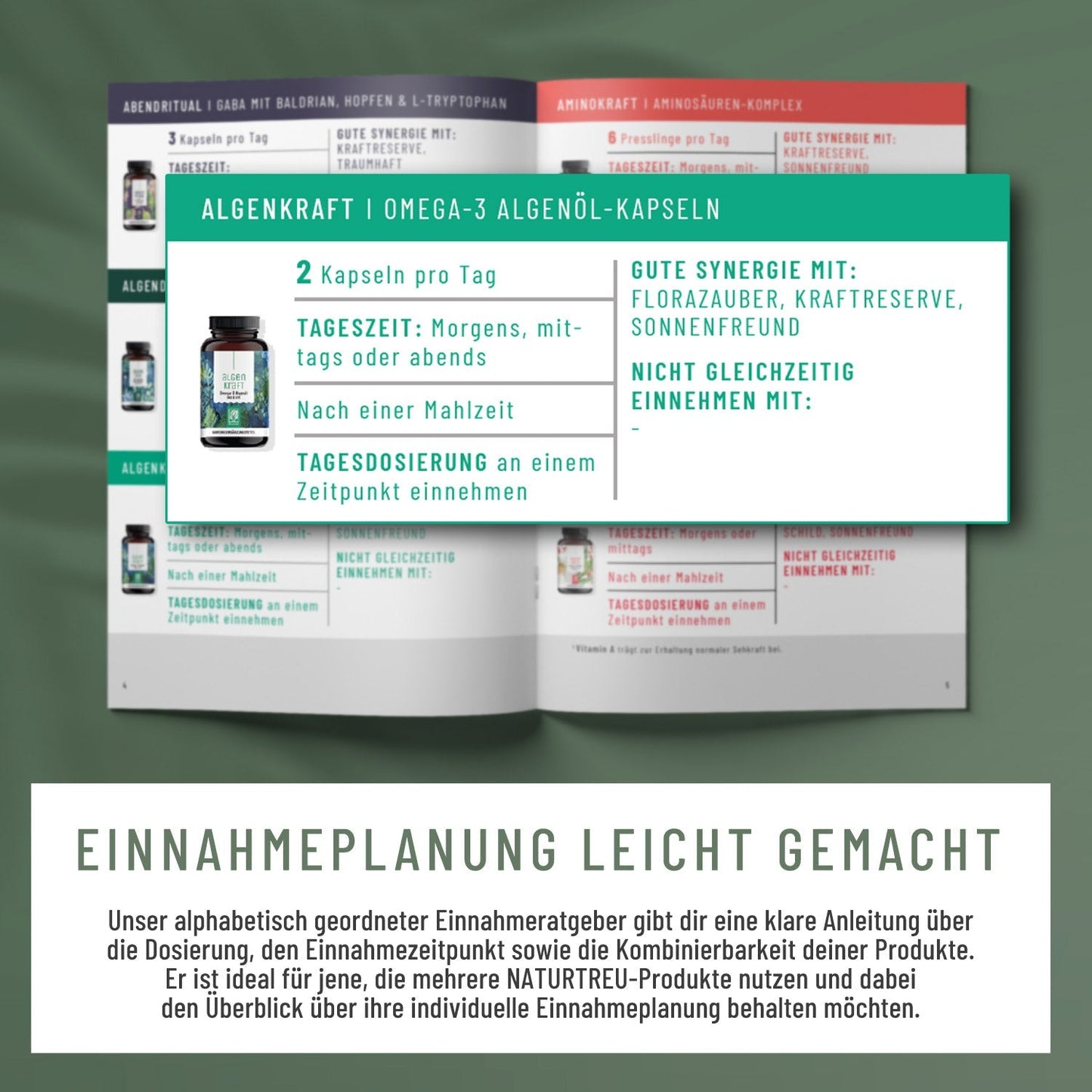 Routineholz-Paket zur perfekten Einnahme