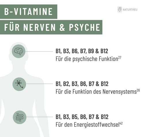 In der Pubertät sind B-Vitamine von großer Bedeutung für Nerven und Psyche B-Vitamine für Psyche, Nerven & Energie