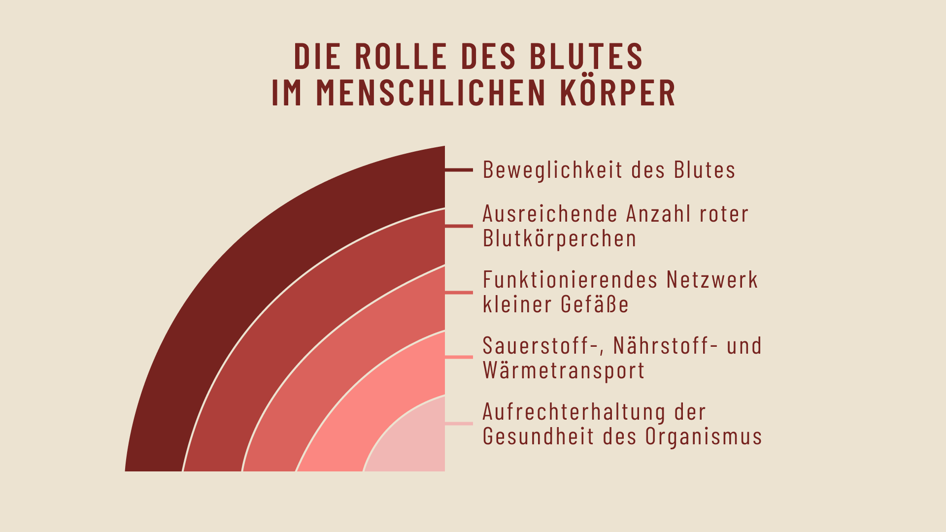 BLFL_Grafik.png__PID:f4c3e04a-378d-4355-a4e4-daaf4ffd1f8d