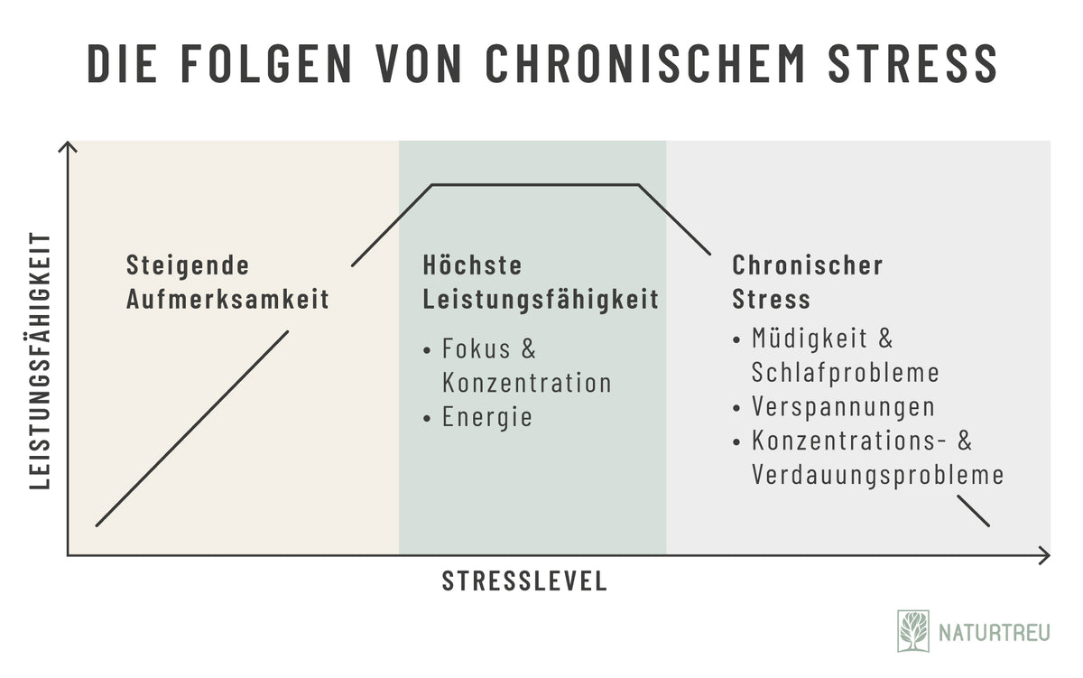 Krank durch Stress? Die Folgen von chronischem Stress für Körper und Psyche Grafik: Wie sich Stress auf Körper und Psyche auswirkt