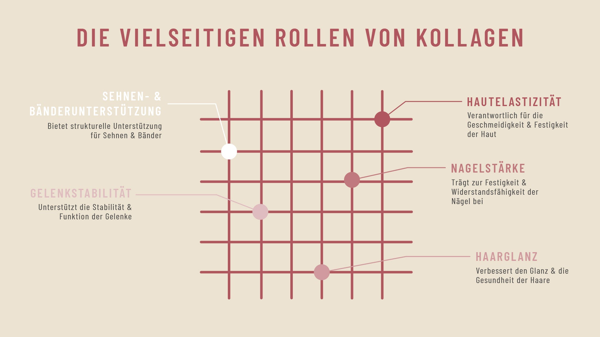 Man könnte sagen, dass Kollagen wie ein unsichtbares Netz gespannt ist, das alles zusammenhält. GLVO_Grafik-2.jpg__PID:9bd5c4e3-2d8a-42a0-9bb8-429935835bcc