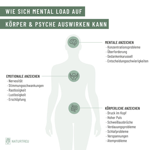 Der Körper reagiert bei chronischem Stress mit verschiedenen Symptomen Die Folgen von Mental Load machen sich auf körperlicher, mentaler und emotionaler Ebene bemerkbar
