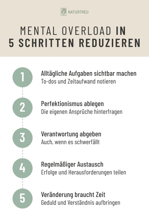 Mental Overload im Alltag erkennen und sichtbar machen Grafik: Mental Overload in 5 Schritten reduzieren