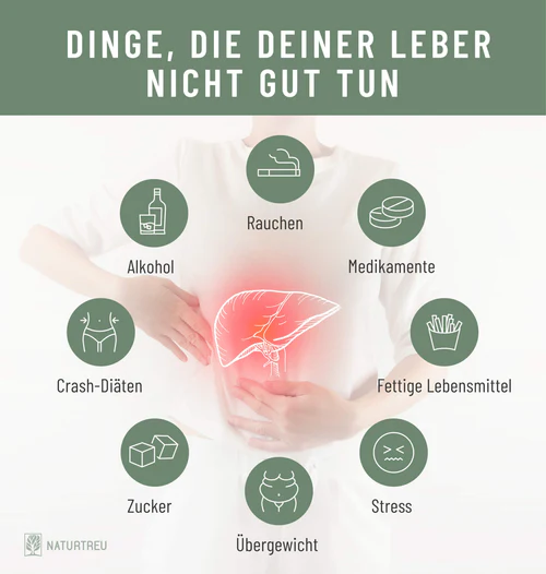 Mögliche Ursachen für Leberbeschwerden Ursachen für eine überlastete Leber