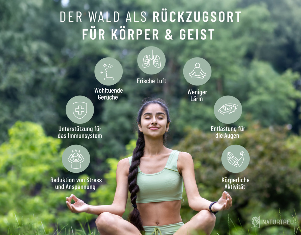 Ein Waldspaziergang stärkt Körper und Geist Der Wald als Rückzugsort für Körper & Geist